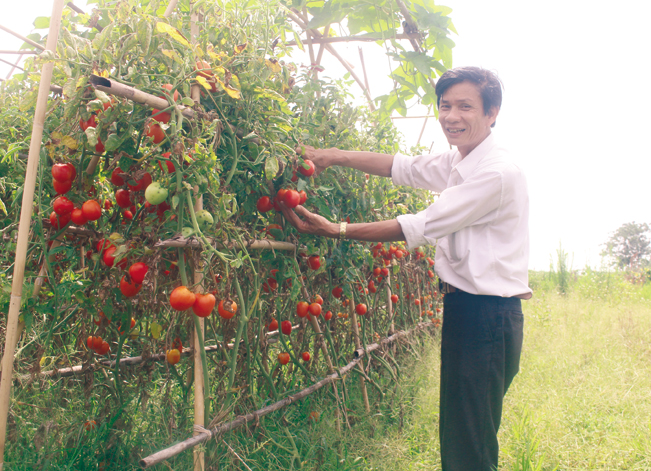 Không chỉ là cán bộ Hội nông dân mẫn cán, ông Nguyễn Văn Hiệp còn là hộ sản xuất kinh giỏi tại địa phương.