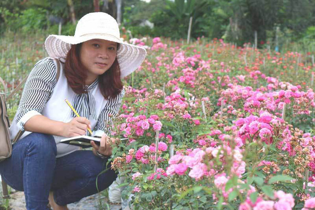 Chị Tuyết dự tính sẽ tiếp tục mở rộng diện tích vườn hoa để có nguồn nguyên liệu làm trà, đáp ứng được một phần nhu cầu của thị trường. Chị Tuyết dự tính sẽ tiếp tục mở rộng diện tích vườn hoa để có nguồn nguyên liệu làm trà, đáp ứng được một phần nhu cầu của thị trường.