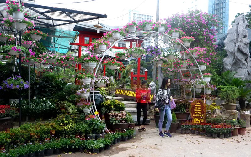 Các gian hàng hoa đã được trang trí rất bắt mắt. Các gian hàng hoa đã được trang trí rất bắt mắt.