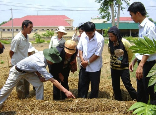 Nông dân huyện Đông Triều (Quảng Ninh) tham gia lớp đào tạo nghề trồng nấm rơm. Ảnh: I.T Nông dân huyện Đông Triều (Quảng Ninh) tham gia lớp đào tạo nghề trồng nấm rơm. Ảnh: I.T