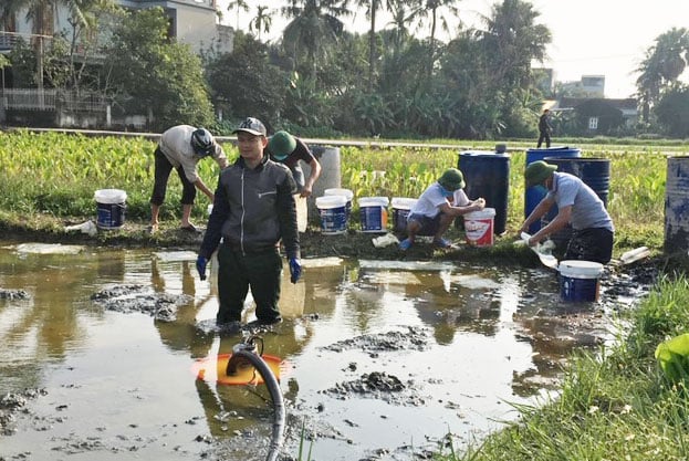 thanh hoa: hai hung canh muong thu bi chet bi 4.000 lit dau tran hinh anh 1