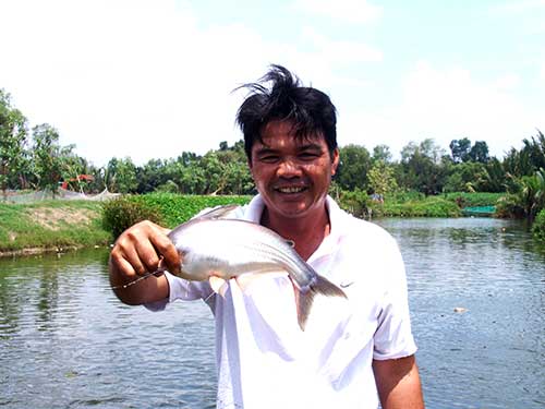 Ông Tư “cá” và con cá tra mới được nuôi bằng bánh bao. Ảnh: Trần Đáng Ông Tư “cá” và con cá tra mới được nuôi bằng bánh bao. Ảnh: Trần Đáng