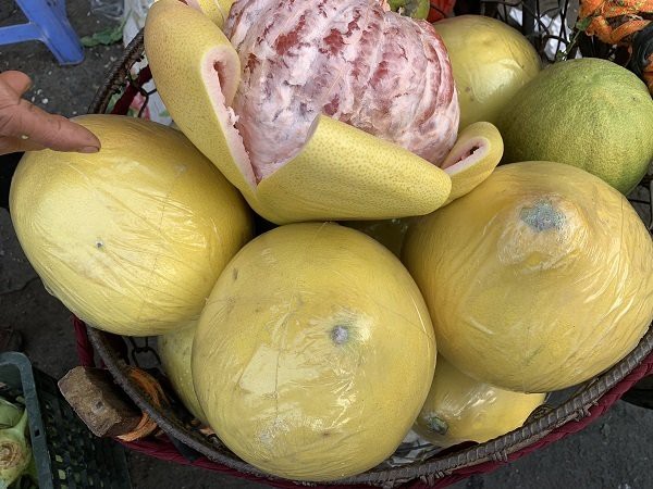 Việt Nam vào mùa cam, bưởi nhưng bưởi Trung Quốc vẫn tràn sang.