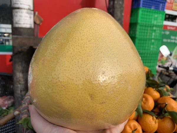 Bưởi Trung Quốc nặng trung bình trên dưới 2kg, có quả nặng tới 3kg.