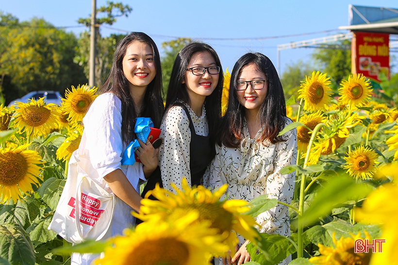Ngay từ những ngày đầu, khi hoa hướng dương mới nở, đã có các bạn trẻ ghé thăm với nhiều concept chụp hình và trang phục. Ngay từ những ngày đầu, khi hoa hướng dương mới nở, đã có các bạn trẻ ghé thăm với nhiều concept chụp hình và trang phục.