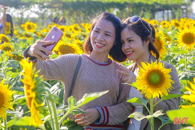 Mọi thứ đều phù hợp để tạo dáng bên loài hoa rực rỡ này. Mọi thứ đều phù hợp để tạo dáng bên loài hoa rực rỡ này.