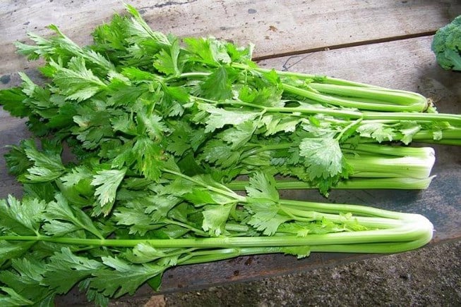 Rau mùi tây không đơn thuần là gia vị trong món ăn ngày Tết