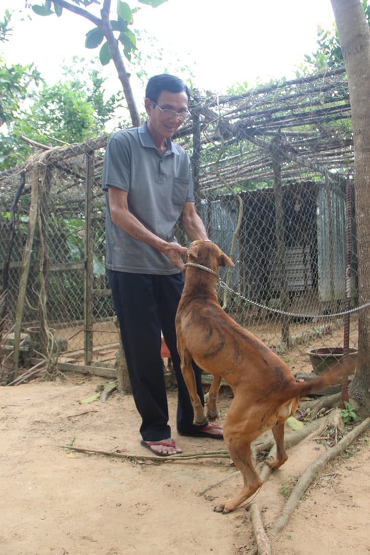 Ông Năm Cưa vuốt ve con Vện tinh khôn của mình. Ông Năm Cưa vuốt ve con Vện tinh khôn của mình.