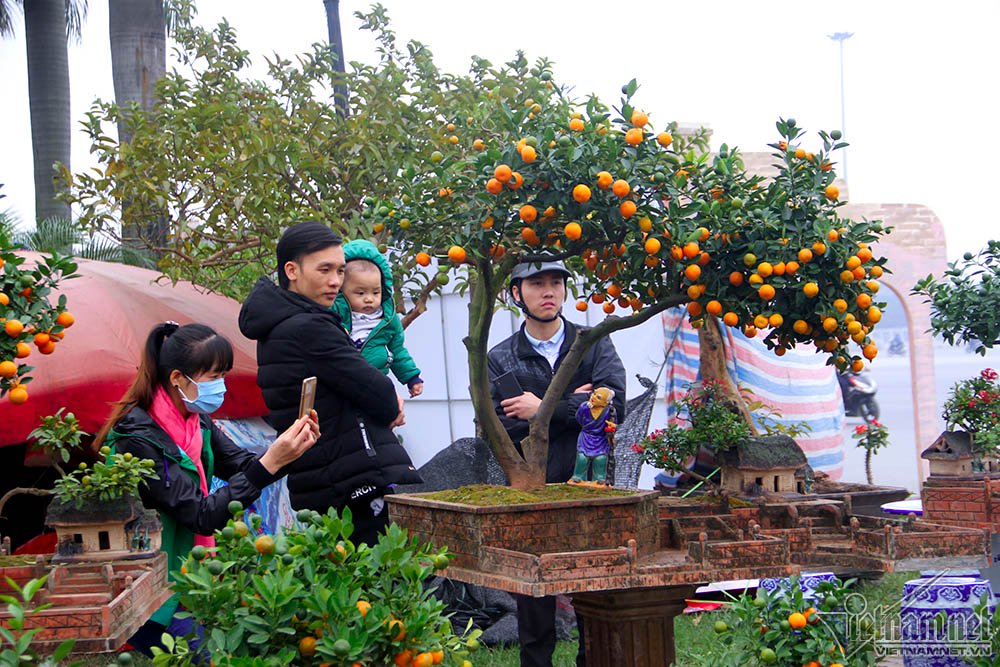 Nhiều người dừng lúc lâu, chụp ảnh ngắm nhìn chậu quất bonsai tiểu cảnh. Nhiều người dừng lúc lâu, chụp ảnh ngắm nhìn chậu quất bonsai tiểu cảnh.