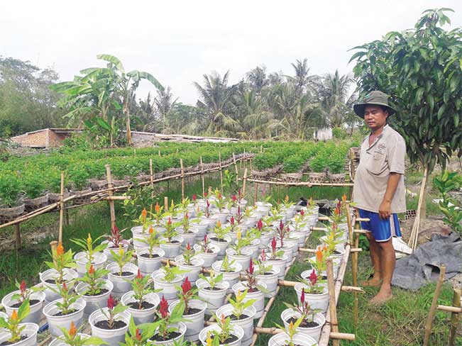 Người dân làng hoa kiểng Cái Mơn chăm sóc hoa.