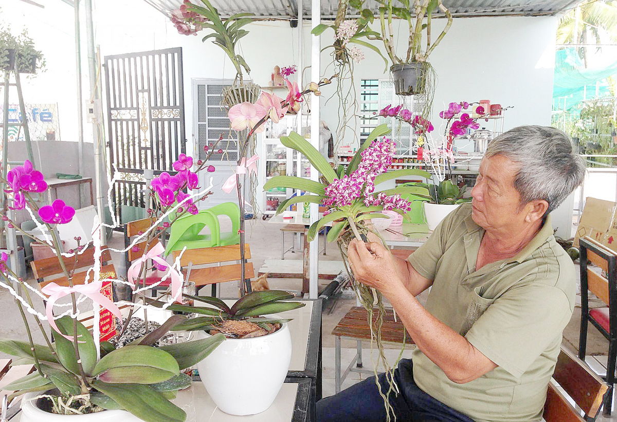 Ông Phi bên vò ngọc điểm khoe sắc hoa. Ảnh: DUY KHÔI Ông Phi bên vò ngọc điểm khoe sắc hoa. Ảnh: DUY KHÔI