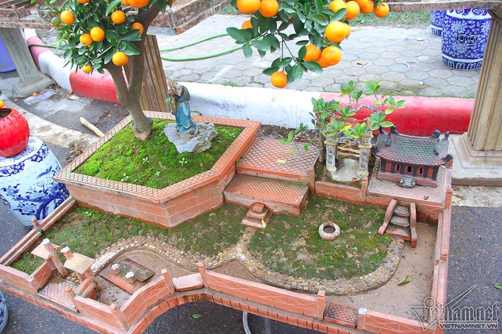 Cây đa, giếng nước, sân đình lấp ló dưới cây quất 'khổng lồ' Cây đa, giếng nước, sân đình lấp ló dưới cây quất 'khổng lồ'