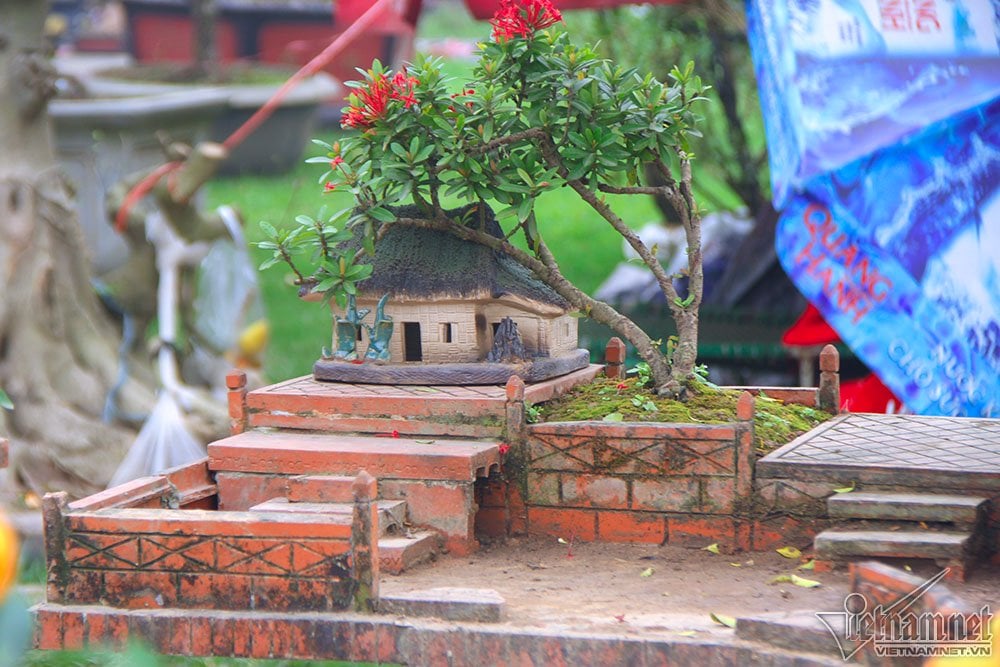 Giá mỗi chậu quất tạo cảnh vào khoảng 15 triệu đồng. Không chỉ quất cổ thụ mà những cây cảnh khác cũng được tạo thế bonsai cầu kì phù hợp nhu cầu đa dạng của người chơi. Giá mỗi chậu quất tạo cảnh vào khoảng 15 triệu đồng. Không chỉ quất cổ thụ mà những cây cảnh khác cũng được tạo thế bonsai cầu kì phù hợp nhu cầu đa dạng của người chơi.