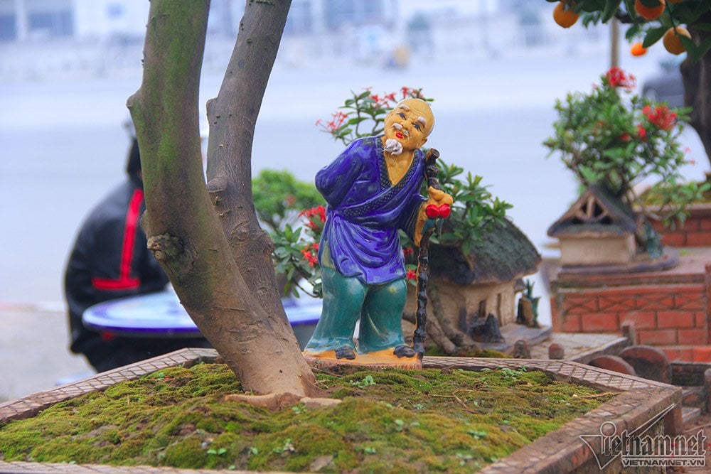 Theo quan niệm, chưng một cây quất cảnh lá tươi xanh, quả trĩu vàng vào ngày Tết là cách để thể hiện mong ước về một năm mới nhiều may mắn, tài lộc và sự viên mãn trong mỗi gia đình. Theo quan niệm, chưng một cây quất cảnh lá tươi xanh, quả trĩu vàng vào ngày Tết là cách để thể hiện mong ước về một năm mới nhiều may mắn, tài lộc và sự viên mãn trong mỗi gia đình.