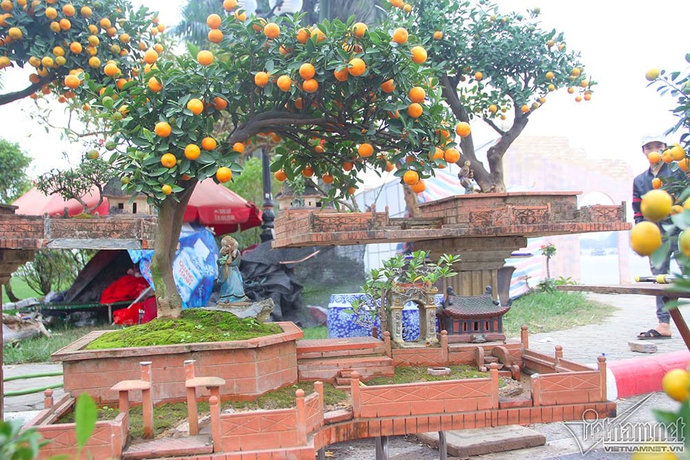 Hình ảnh làng quê Bắc Bộ được thu nhỏ trong chậu quất bonsai tiểu cảnh. Hình ảnh làng quê Bắc Bộ được thu nhỏ trong chậu quất bonsai tiểu cảnh.