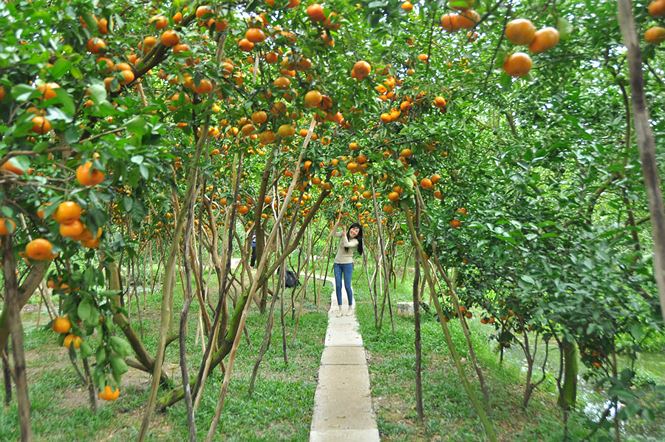 “Trung bình mỗi ngày có khoảng vài trăm, đặc biệt là hai ngày cuối tuần có rất đông khách đến tham quan, nhất là các bạn trẻ rất thích thú chụp ảnh”, ông Kiệt nói.