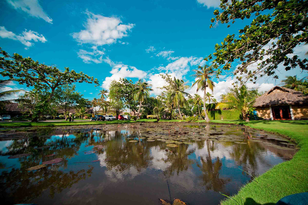 Ảnh: Binhquoiresort. Ảnh: Binhquoiresort.