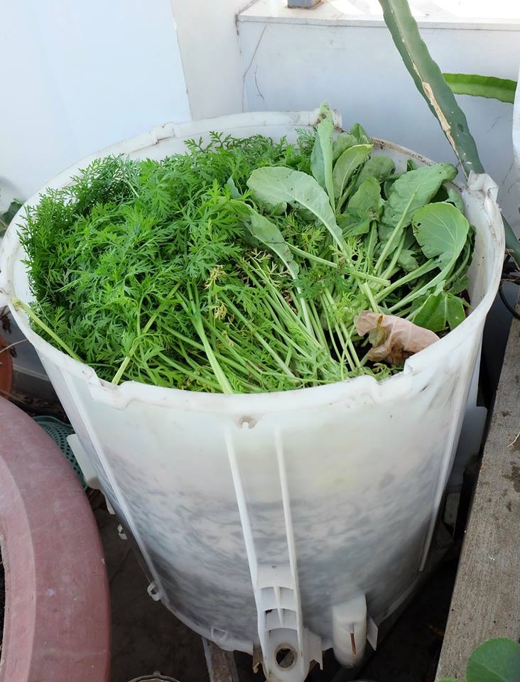 Bỏ rác đầy phía trong và đậy nắp. Bỏ rác đầy phía trong và đậy nắp.
