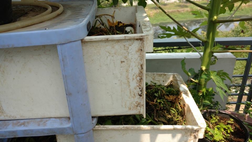 Rác được bỏ đầy từng ngăn tủ. Nước ở các ngăn chảy được rỉ từ lỗ khoan xuống ngăn cuối cùng. Rác được bỏ đầy từng ngăn tủ. Nước ở các ngăn chảy được rỉ từ lỗ khoan xuống ngăn cuối cùng.