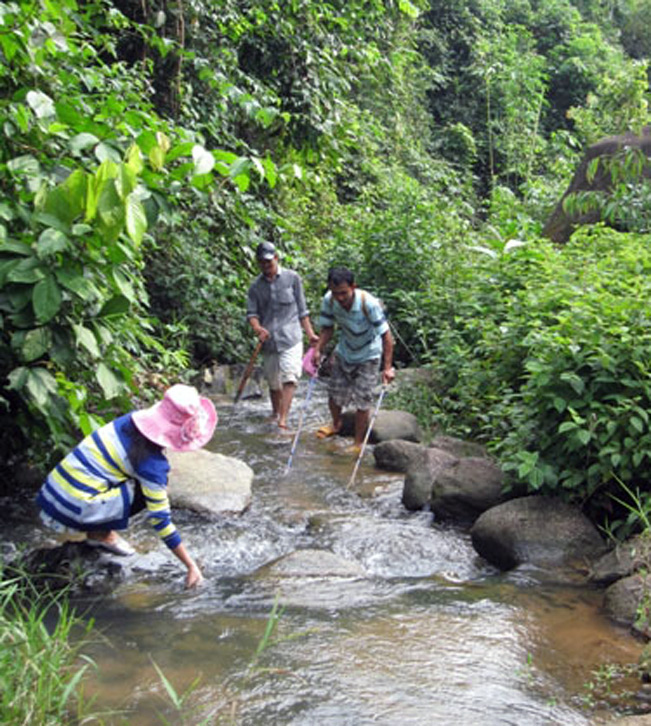 Bắt cá suối.