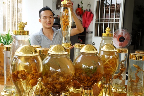 quang nam du kien dang ruou sam ngoc linh len cac vua hung hinh anh 1