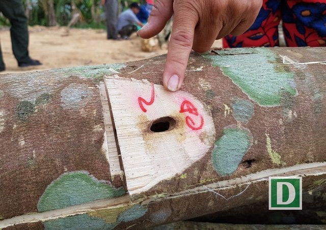 Trên thân cây dó bầu, người ta đục, khoan, khoét... nhằm cho cây bị thương để cây tiết ra dinh dưỡng chữa lành vết thương, tạo trầm.