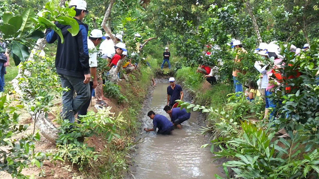 ( Ảnh: Oscvietnam) ( Ảnh: Oscvietnam)
