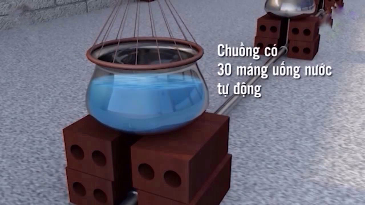 me tit chuong ga thong minh ma re cua anh nong dan khoi nghiep lan 2 hinh anh 2