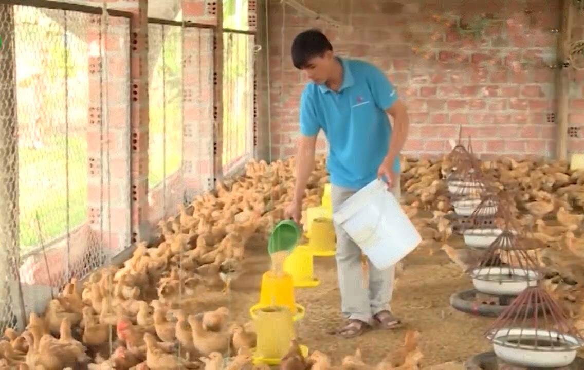 me tit chuong ga thong minh ma re cua anh nong dan khoi nghiep lan 2 hinh anh 6