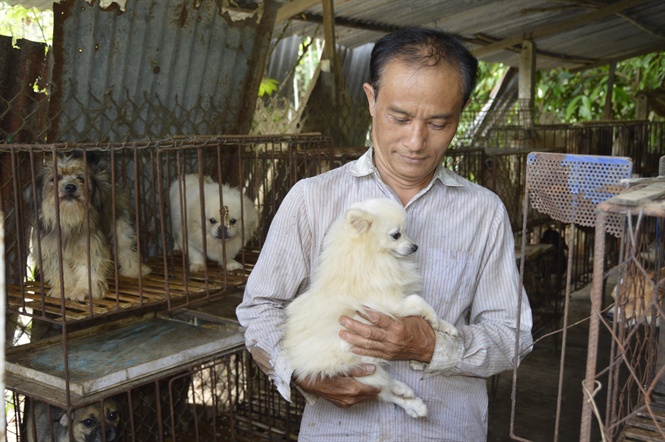 Ông Nguyên chia sẻ kỹ thuật nuôi chó kiểng. Ông Nguyên chia sẻ kỹ thuật nuôi chó kiểng.