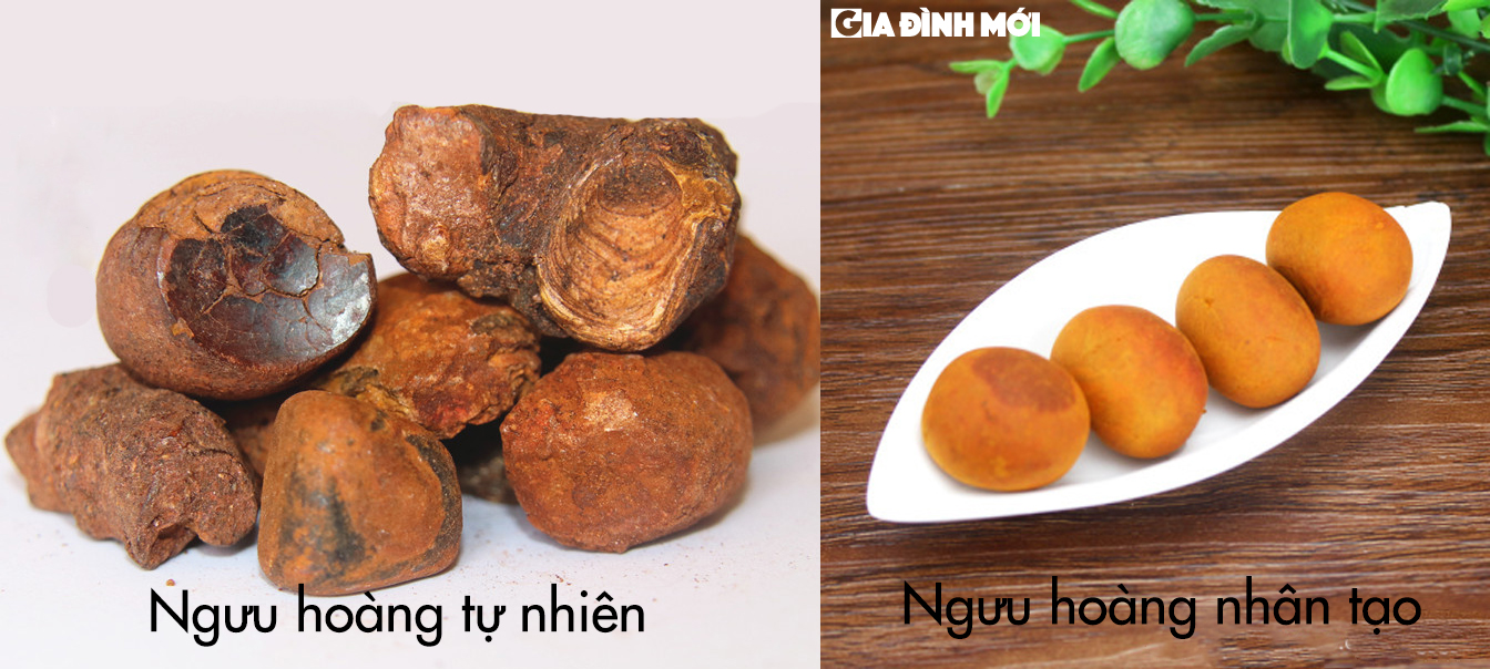 Nhiều hãng sản xuất sử dụng ngưu hoàng thiên nhiên nhân tạo và ngưu hoàng nhân tạo. Nhiều hãng sản xuất sử dụng ngưu hoàng thiên nhiên nhân tạo và ngưu hoàng nhân tạo.
