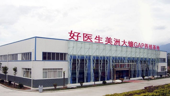 Trang trại nuôi gián ở Tây Xương, Tứ Xuyên, Trung Quốc - Ảnh: SCMP.