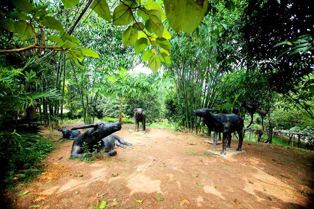 Không gian xanh mát bên trong khu du lịch sinh thái Bản Rõm. Không gian xanh mát bên trong khu du lịch sinh thái Bản Rõm.