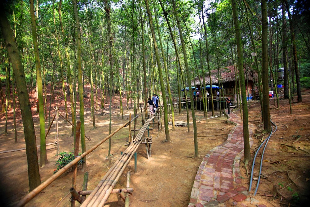 Cầu treo dẫn vào quán cà phê độc đáo trong Bản Rõm. Cầu treo dẫn vào quán cà phê độc đáo trong Bản Rõm.