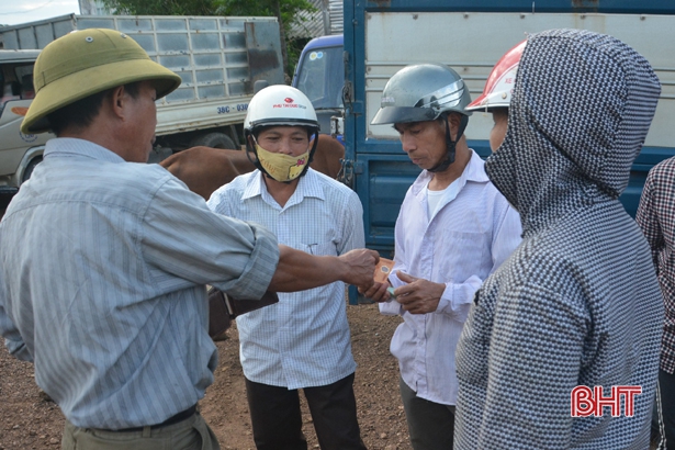 doc dao phien cho nhe, mua ban trau bo bang cach dap tay o ha tinh hinh anh 9
