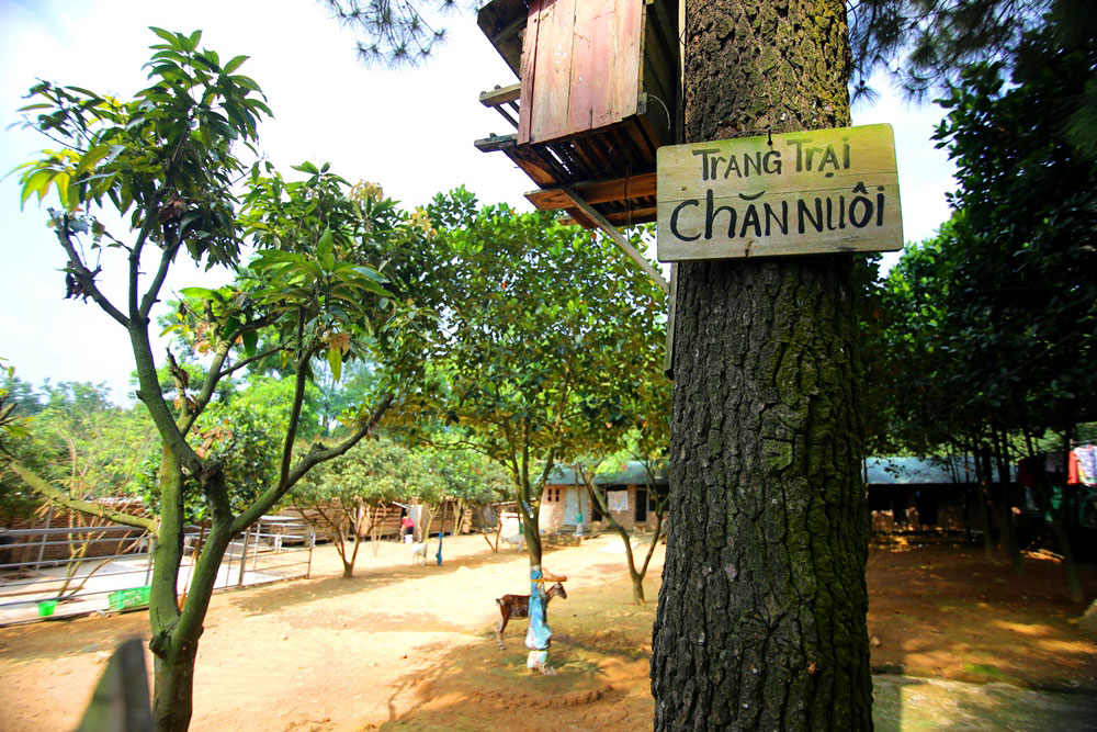 Khu trang trại ở Bản Rõm. Khu trang trại ở Bản Rõm.