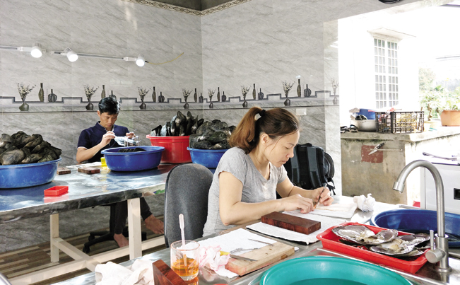 Vợ chồng anh Việt tiến hành cấy nhân vào các con trai nước ngọt. Vợ chồng anh Việt tiến hành cấy nhân vào các con trai nước ngọt.