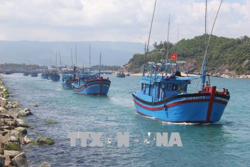 Ngư dân Hoài Nhơn ra khơi khai thác hải sản. Ảnh: Phạm Kha/TTXVN Ngư dân Hoài Nhơn ra khơi khai thác hải sản. Ảnh: Phạm Kha/TTXVN