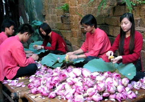 Sen đưa về nhà, đến công đoạn bóc cánh hoa để lấy nhụy, sau đó dùng sàng để sàng lấy hạt gạo. Sen đưa về nhà, đến công đoạn bóc cánh hoa để lấy nhụy, sau đó dùng sàng để sàng lấy hạt gạo.
