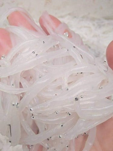 Cá ngần đang được người dân Hà thành lùng mua với giá từ 200.000 - 300.000 đồng/kg. (Ảnh: Khoeplus24h) Cá ngần đang được người dân Hà thành lùng mua với giá từ 200.000 - 300.000 đồng/kg. (Ảnh: Khoeplus24h)