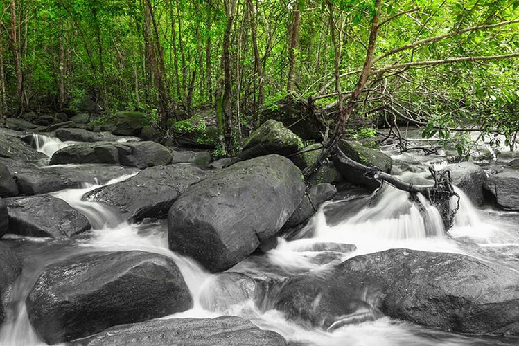 Theo người địa phương, tên gọi suối Đá Bàn bắt nguồn từ hình dạng như mặt bàn của các tảng đá. Người ta còn cho rằng, đây là nơi các tiên nữ ngày xưa thường ngồi tắm mát mỗi lần hạ giới. Ảnh: Benjamin Mockett.