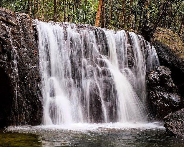 Dòng suối hiền hoà, trong vắt nằm thu mình giữa những tán phong lan rừng, tạo nên bức tranh phong cảnh khiến bất kỳ ai đến đây cũng thích thú. Ảnh: Armands.