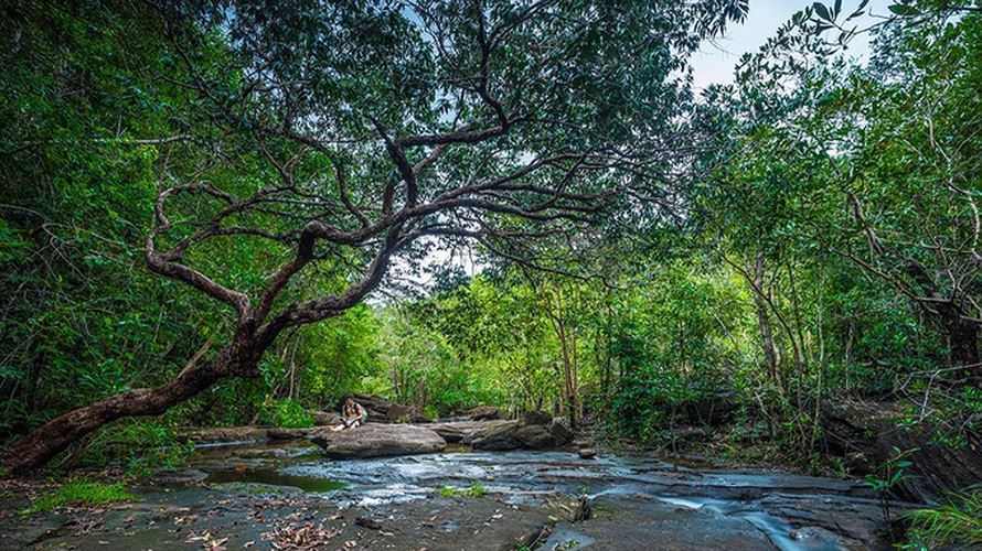 Để đến được đây, bạn có thể chạy theo hướng ấp suối Đá, thuộc xã Dương Tơ, chừng 5 km gặp ngã ba thì rẽ trái vào đoạn đường đất. Bạn chạy thêm đoạn đường khoảng 2 km là tới.