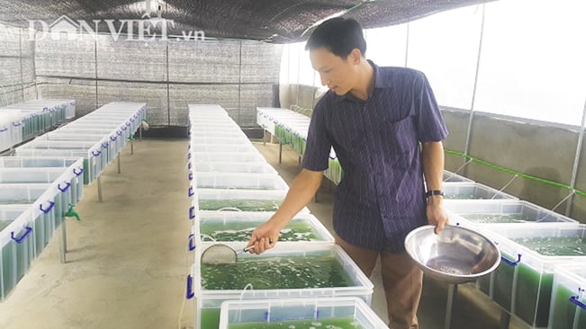 Thầy giáo Nguyễn Văn Biên đi kiểm tra tốc độ phát triển của tảo xoắn trong các bể nuôi ở khu nhà kính.P.Q Thầy giáo Nguyễn Văn Biên đi kiểm tra tốc độ phát triển của tảo xoắn trong các bể nuôi ở khu nhà kính.P.Q