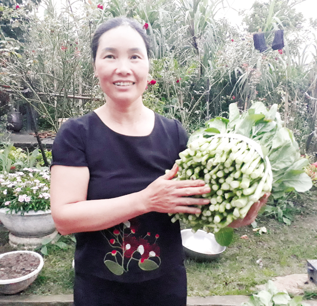 Rau xanh của gia đình chị Hà được khách hàng tin tưởng, chọn mua về sử dụng. Rau xanh của gia đình chị Hà được khách hàng tin tưởng, chọn mua về sử dụng.