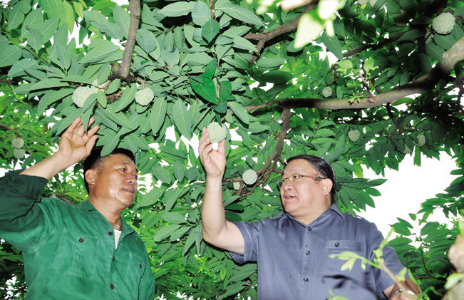 Ông Ma Văn Lét chia sẻ kinh nghiệm trồng na với đồng chí Thào Xuân Sùng - Ủy viên T.Ư Đảng, Bí thư Đảng đoàn, Chủ tịch BCH T.Ư Hội nông dân Việt Nam. Ông Ma Văn Lét chia sẻ kinh nghiệm trồng na với đồng chí Thào Xuân Sùng - Ủy viên T.Ư Đảng, Bí thư Đảng đoàn, Chủ tịch BCH T.Ư Hội nông dân Việt Nam.