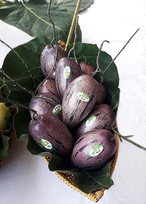 Dưa pepino vỏ màu tím. Dưa pepino vỏ màu tím.