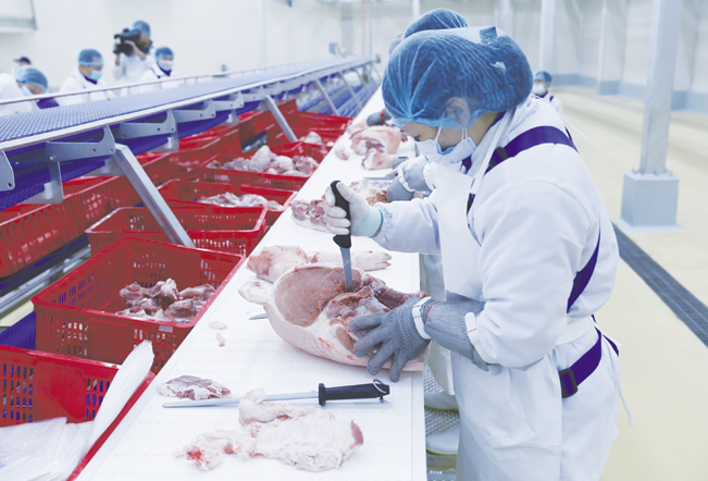 Công nhân pha lóc thịt lợn tại Tổ hợp chế biến thịt MNS Meat Hà Nam. Công nhân pha lóc thịt lợn tại Tổ hợp chế biến thịt MNS Meat Hà Nam.