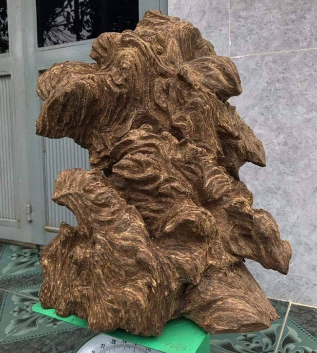“Lô trầm này 8kg, tôi mua từ các đầu mối ở một tỉnh miền Trung, chưa kể chi phí vận chuyển về đến nhà, chỉ tính riêng tiền mua nó đã gần 1 tỉ đồng” - vị chủ nhân lô trầm bật mí. “Lô trầm này 8kg, tôi mua từ các đầu mối ở một tỉnh miền Trung, chưa kể chi phí vận chuyển về đến nhà, chỉ tính riêng tiền mua nó đã gần 1 tỉ đồng” - vị chủ nhân lô trầm bật mí.