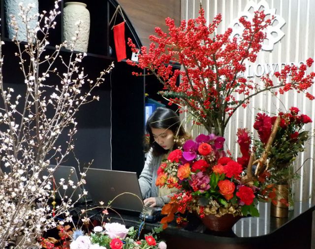 Khoảng 2-3 năm gần đây thú chơi hoa đào đông đỏ nhập khẩu vào dịp Tết lại ngày càng trở nên rầm rộ. Khoảng 2-3 năm gần đây thú chơi hoa đào đông đỏ nhập khẩu vào dịp Tết lại ngày càng trở nên rầm rộ.